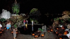 010Jameos